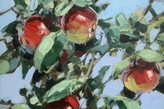 Robert C. Rore - Äpfel im Geäst - 2024  Öl  50x30cm