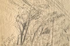 STURM IM OBSTGARTEN. / 1951 /  Graphitzeichnung. 58 x 44 cm